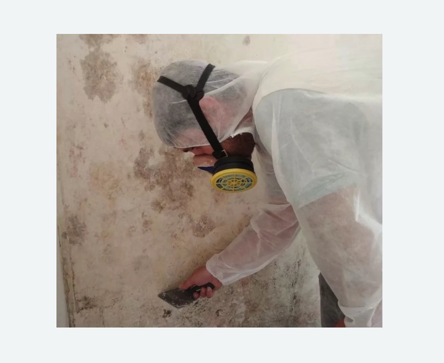 Обработка стен от плесени Обработка стен от плесени в Перми