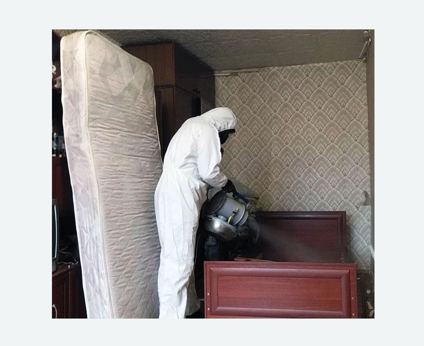 дезинфекция от клопов дезинфекция от клопов в Перми